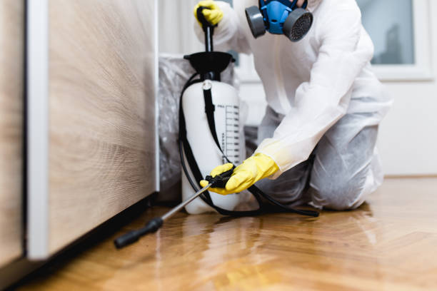 Best Rat Extermination Near Me  in Wellington, OH