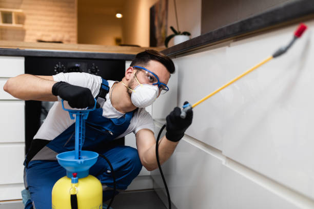 Best Affordable Pest Control Services  in Wellington, OH