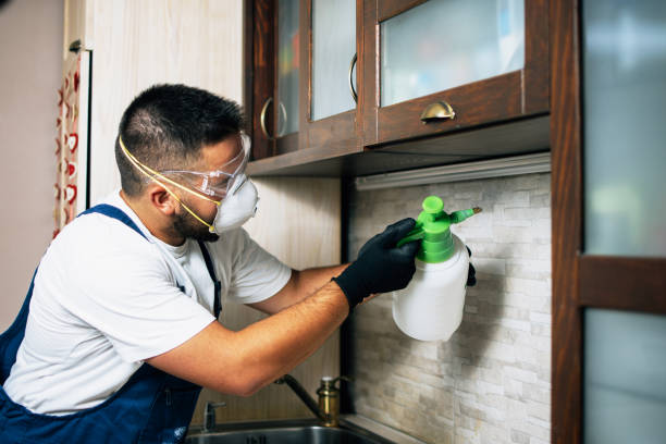Best Pest Removal Services  in Wellington, OH
