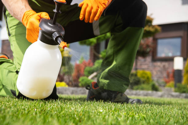Best Pest Inspection Near Me  in Wellington, OH