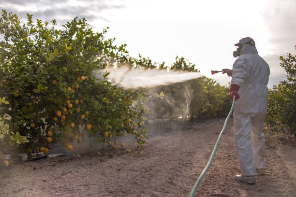 Best Pest Control Near Me in Wellington, OH