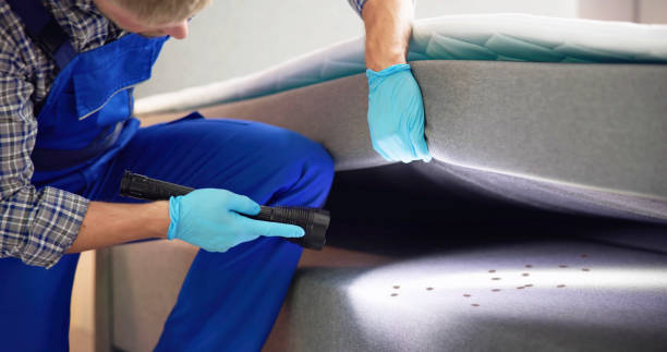 Flea Control Services in Wellington, OH