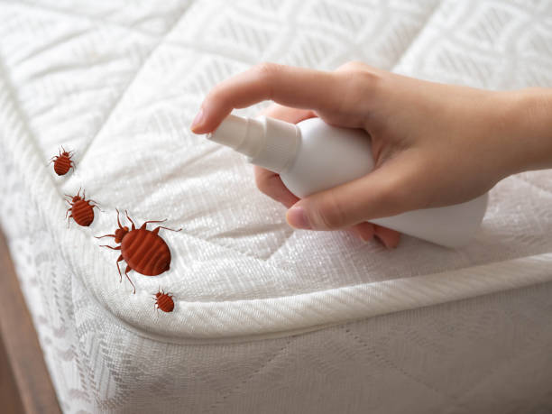 Best Pest Prevention Services  in Wellington, OH