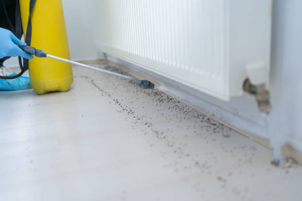 Best Exterminator Services  in Wellington, OH