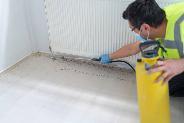 Best Residential Pest Control  in Wellington, OH