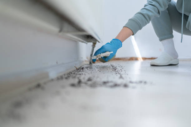 Best Bed Bug Extermination  in Wellington, OH